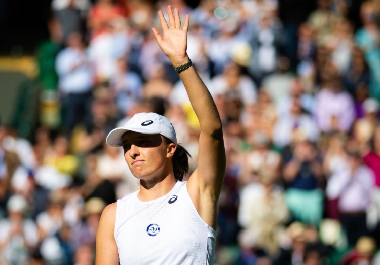 提供了新的 提供了新的