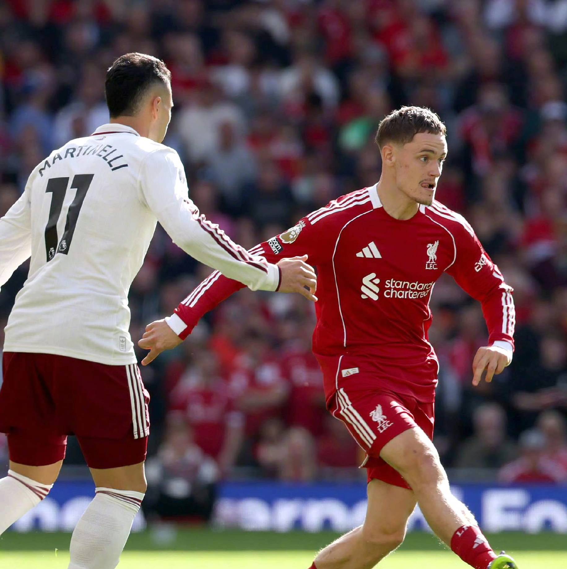 好者和分析 好者和分析