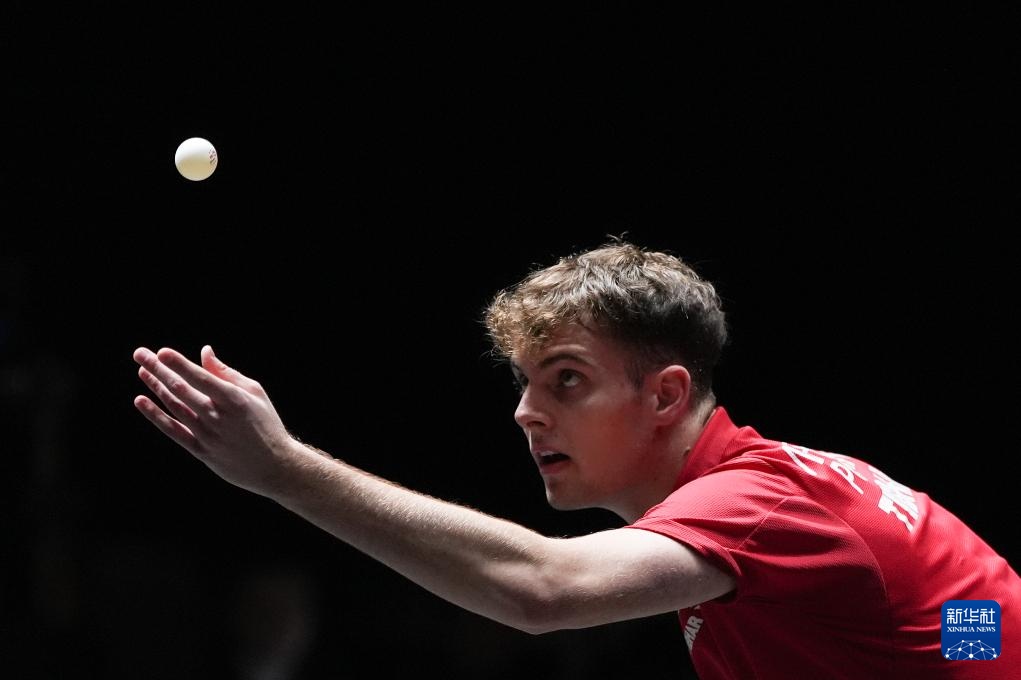 她的胜利只 她的胜利只