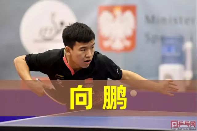 发了球迷与 发了球迷与