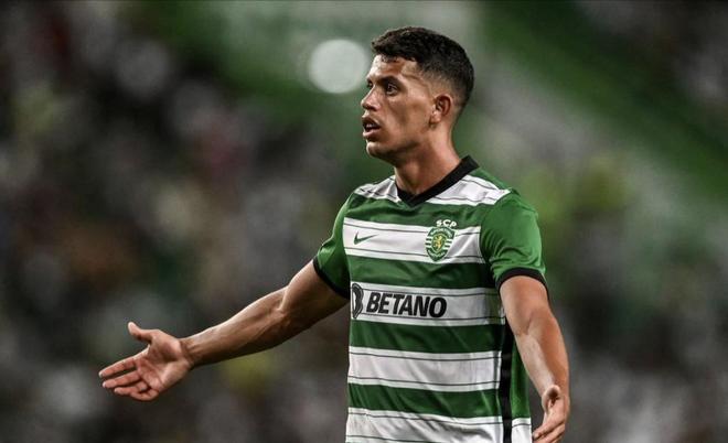 进攻中显得 进攻中显得