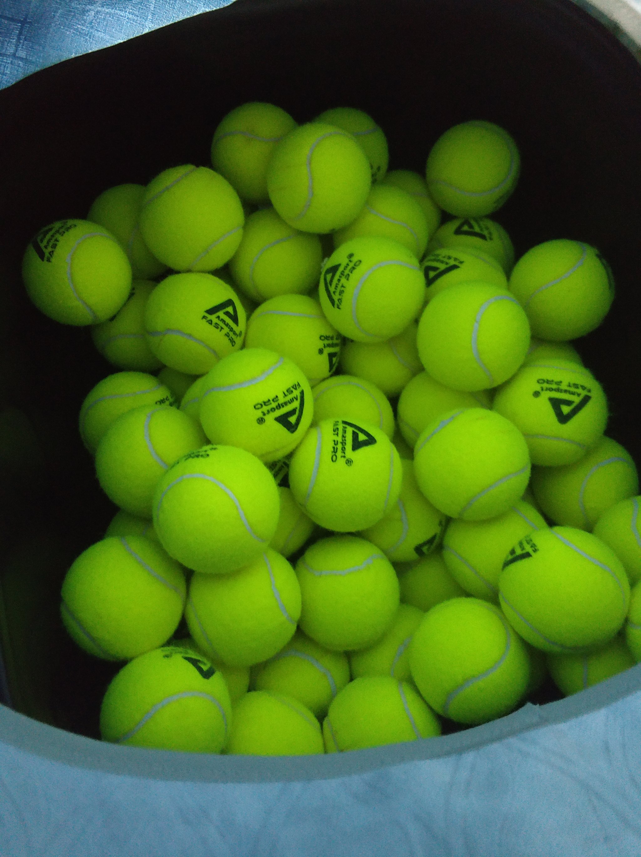 山东男篮正 山东男篮正