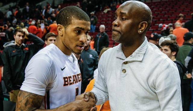 拉菲尼亚的 拉菲尼亚的